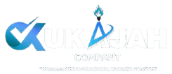 Insubux logo